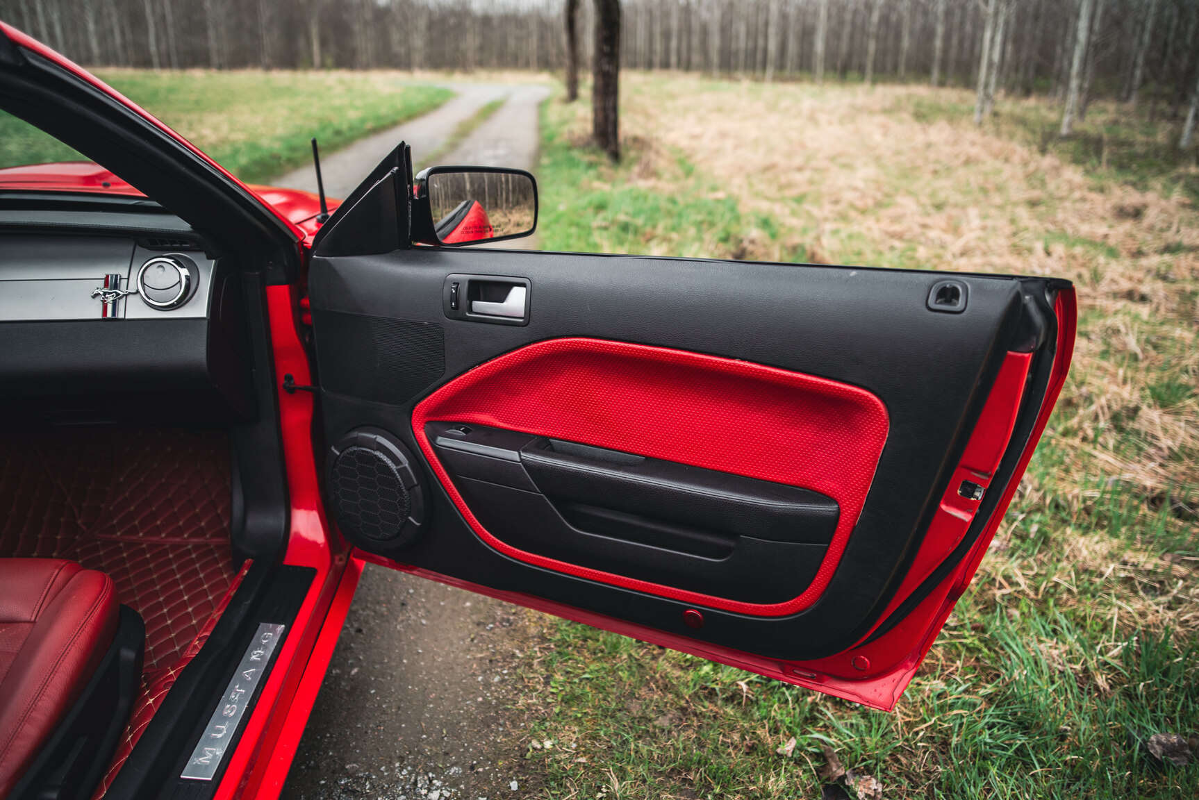 Interior image of 2009 Ford Mustang V8 GT Convertible
