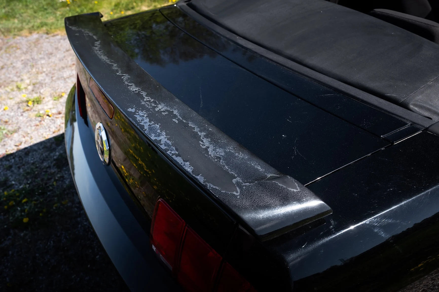 Exterior image of 2006 Ford Mustang Convertible (57)