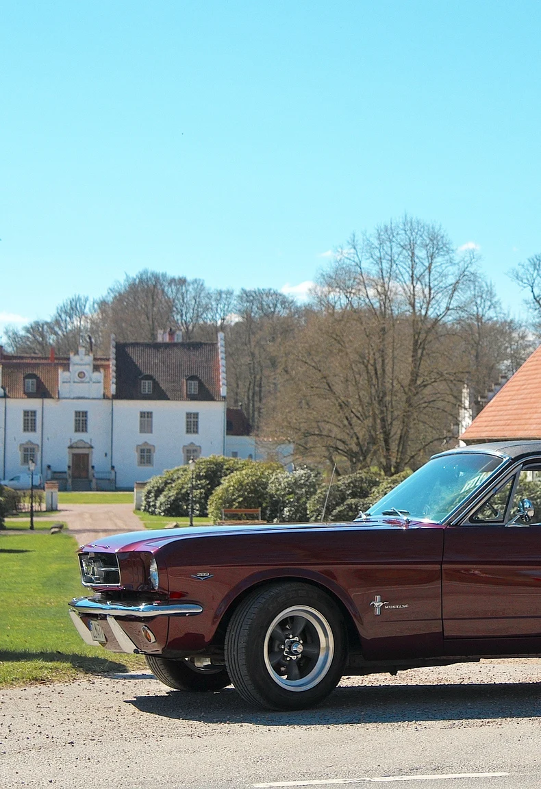 Aussenfoto 1965 Ford Mustang HT 289cui (86)