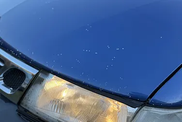 #<Image:0x00007ff6cd274d88>