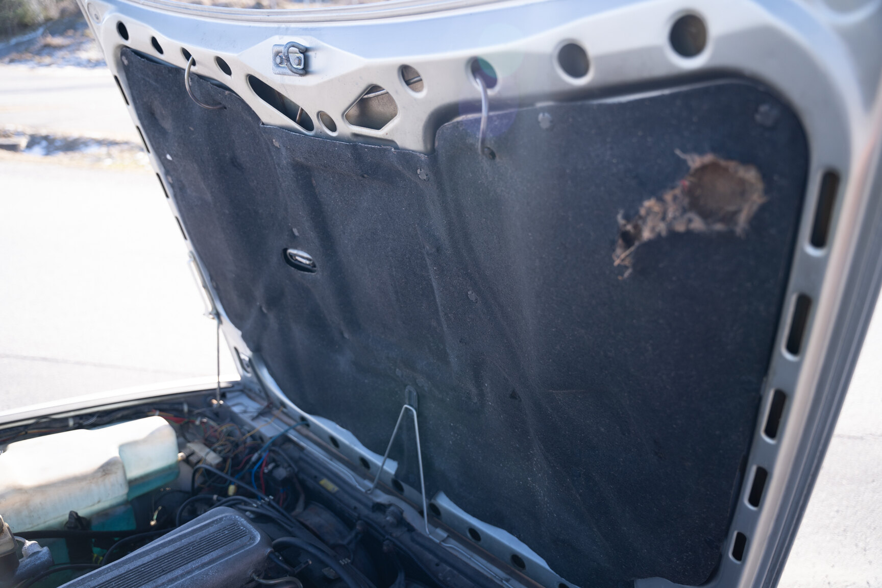 Image of 1985 Alfa Romeo GTV 6 2.5 mechanics