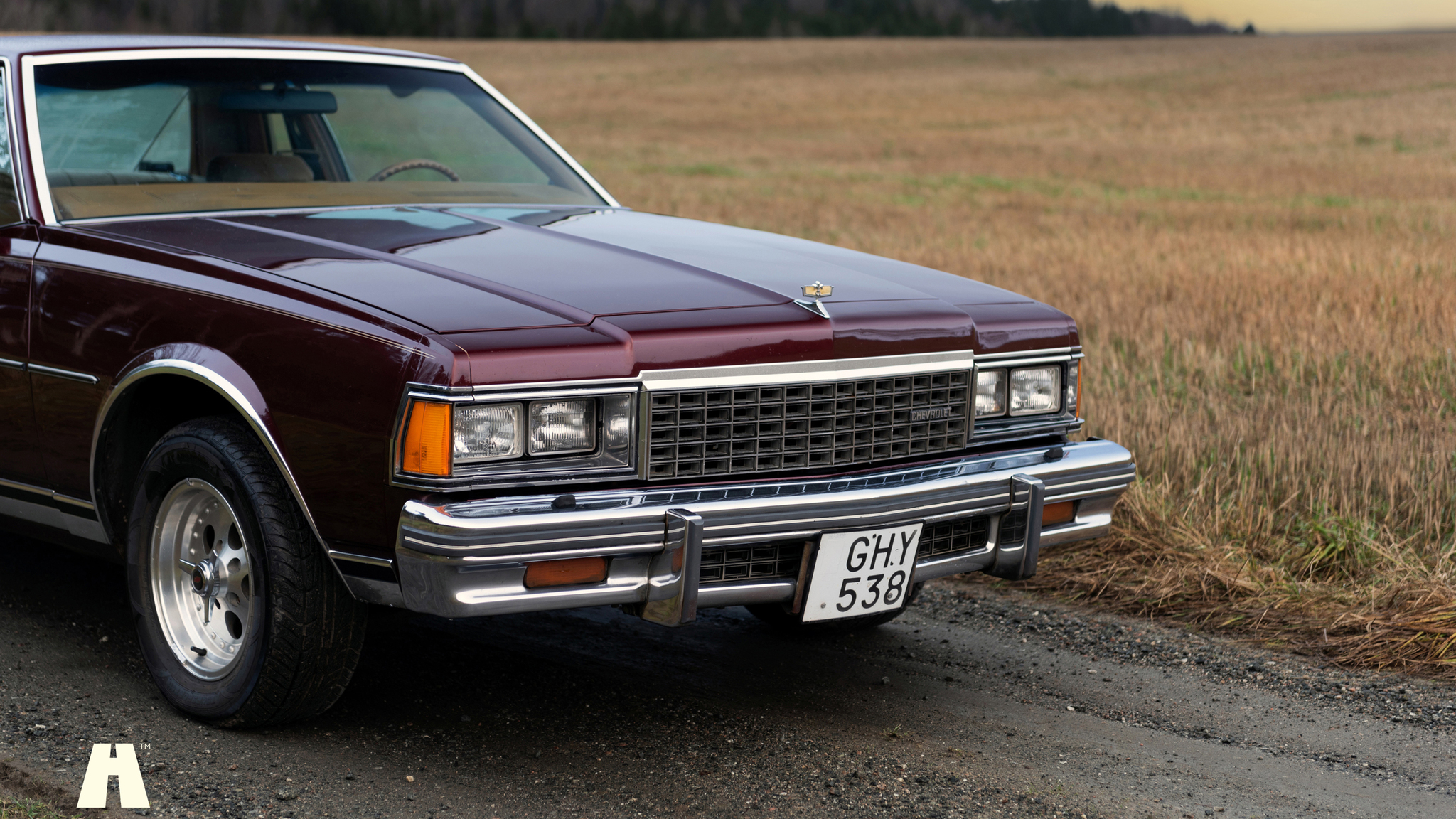 Aussenfoto 1977 Chevrolet Caprice Classic