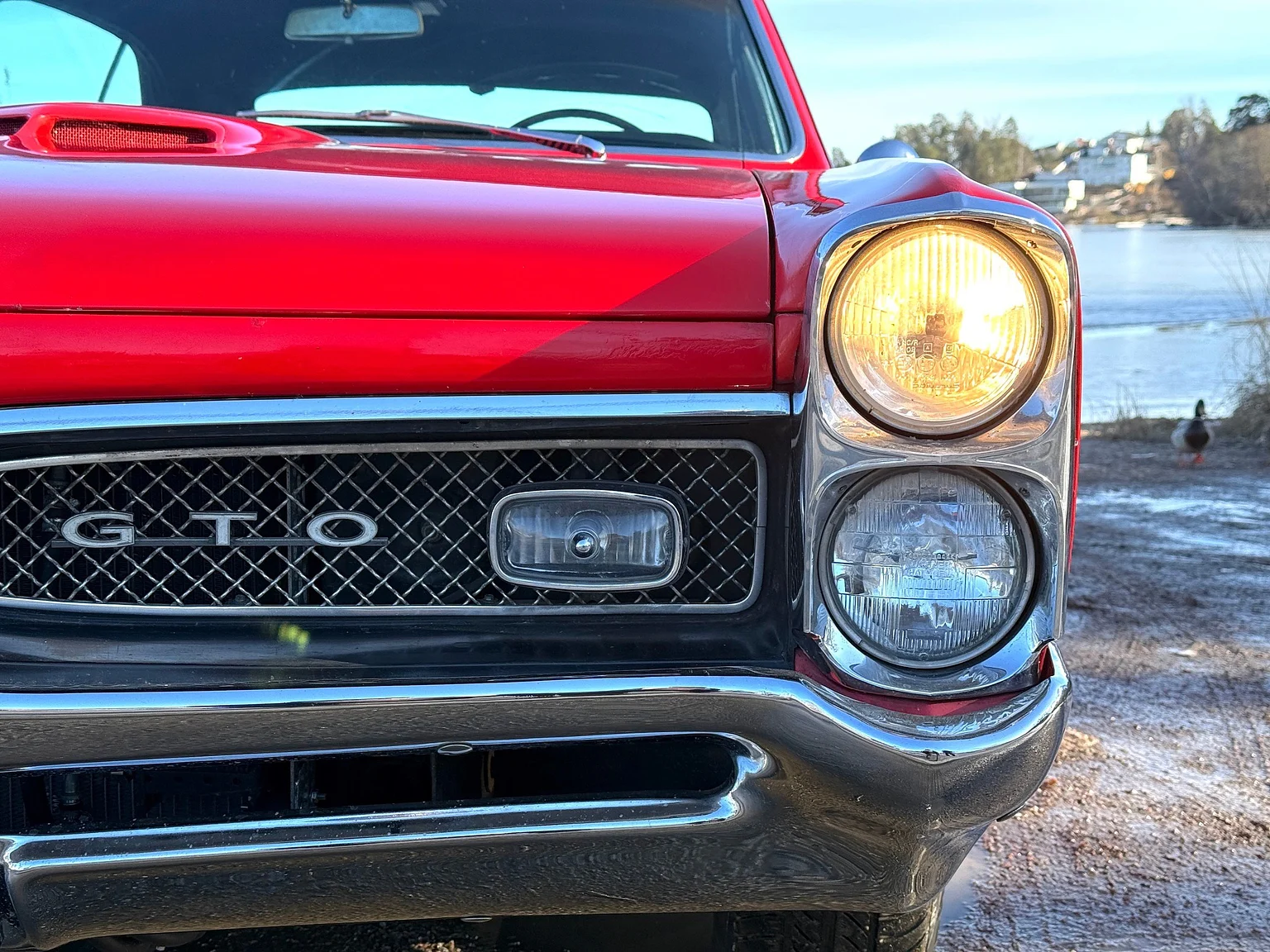 Aussenfoto 1967 Pontiac GTO Hardtop (18)
