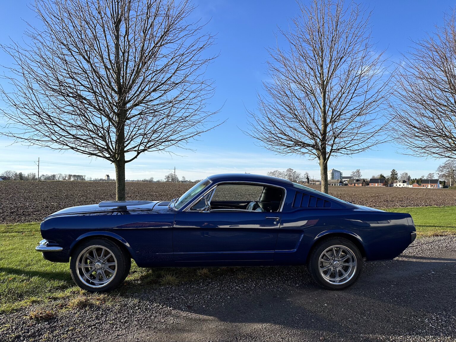 Aussenfoto 1965 Ford Mustang Fastback 351W (67)