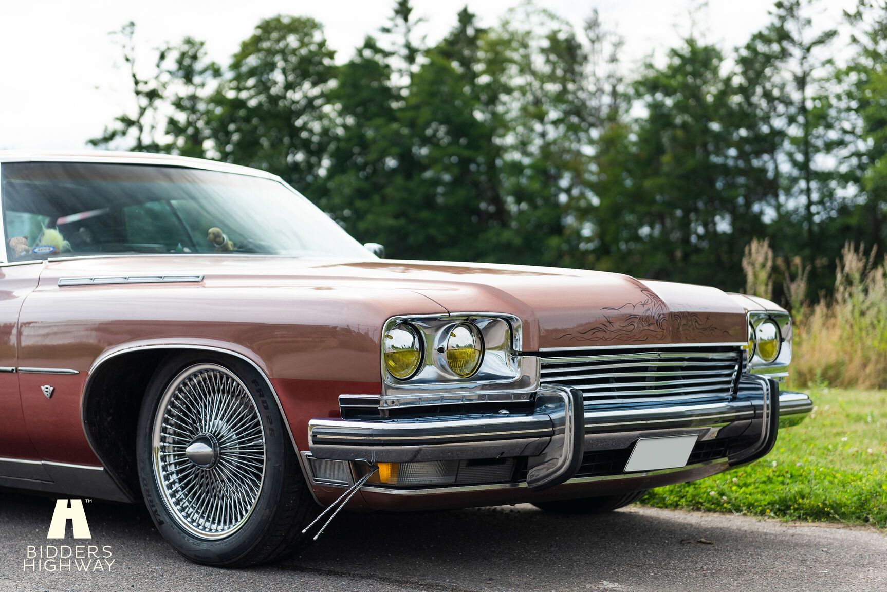 Exterior image of 1973 Buick Electra Custom 2D HT Coupe