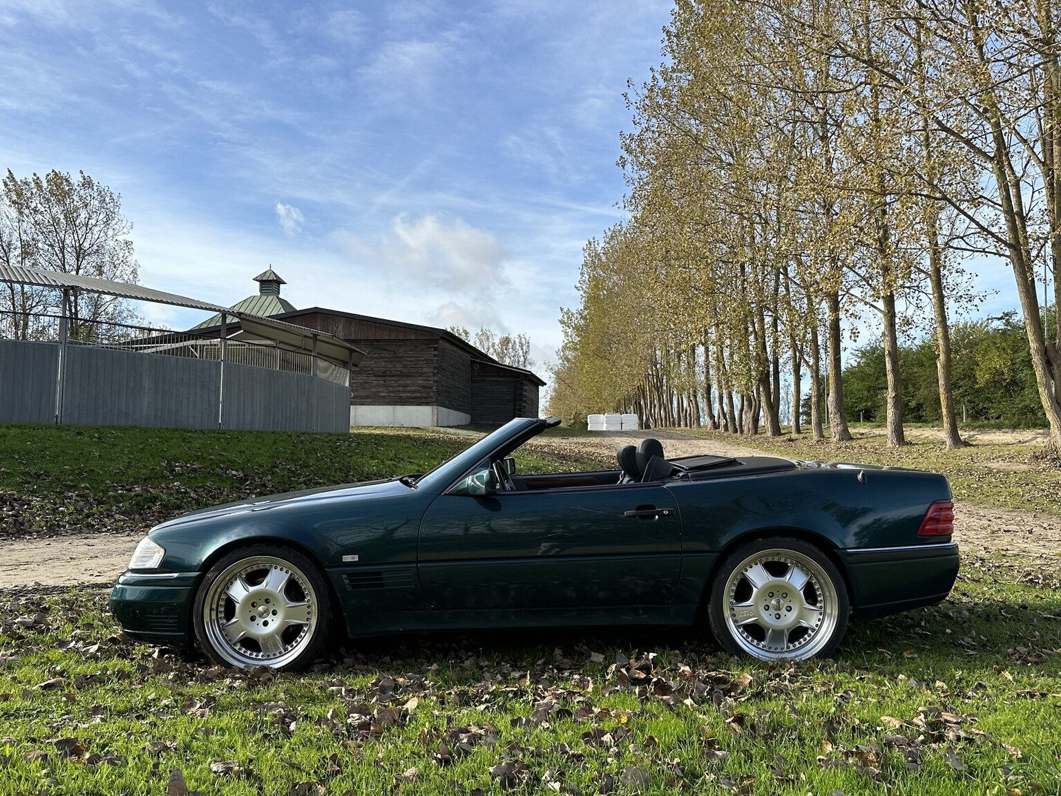 Exterior image of 1995 Mercedes-Benz SL 500 (16)