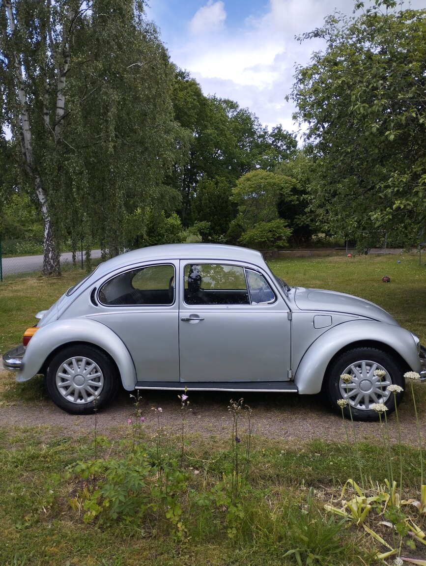Aussenfoto 1981 1981 VOLKSWAGEN 