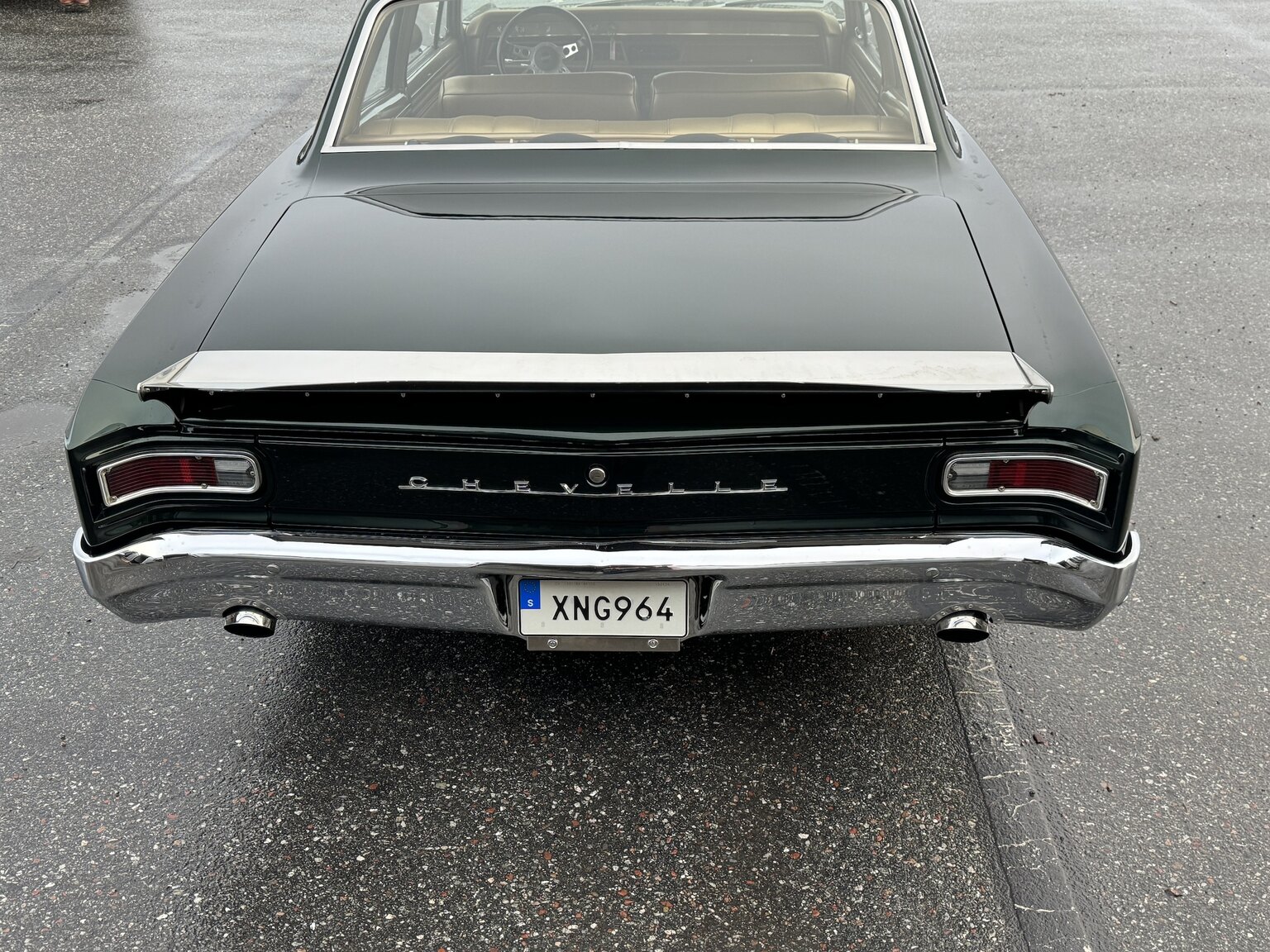 Aussenfoto 1966 Chevrolet Chevelle Pro-touring
