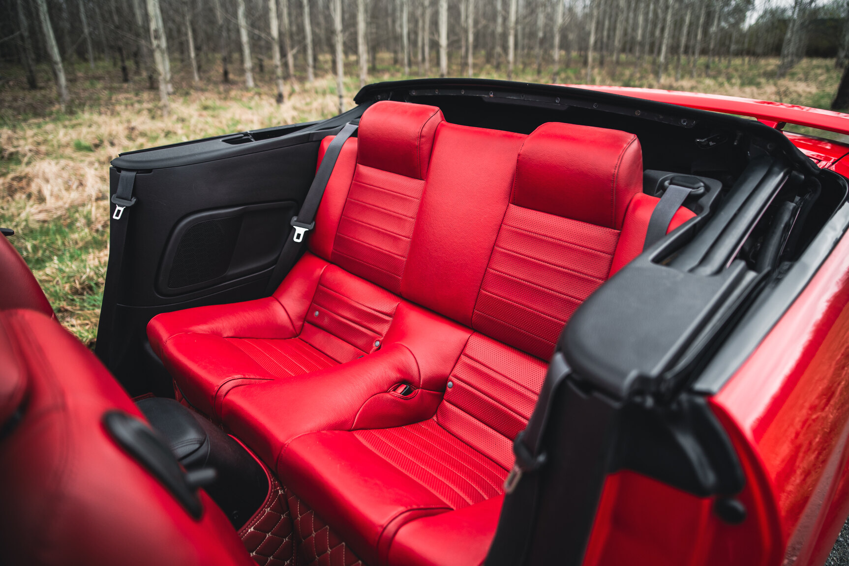 Interior image of 2009 Ford Mustang V8 GT Convertible