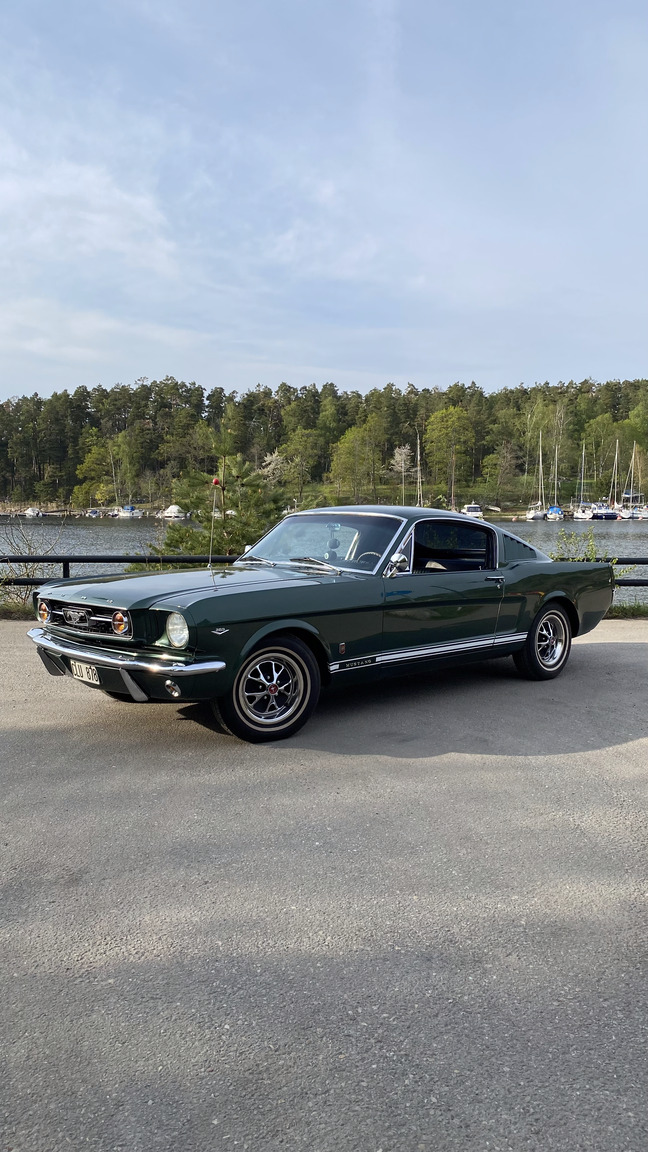 Aussenfoto 1966 Ford Mustang Fastback GT-clone (1)