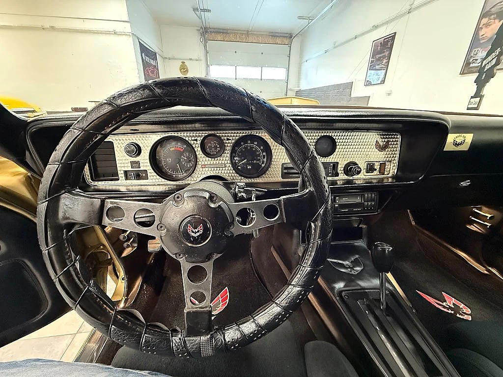 Bild von 1979 Pontiac Firebird (27)