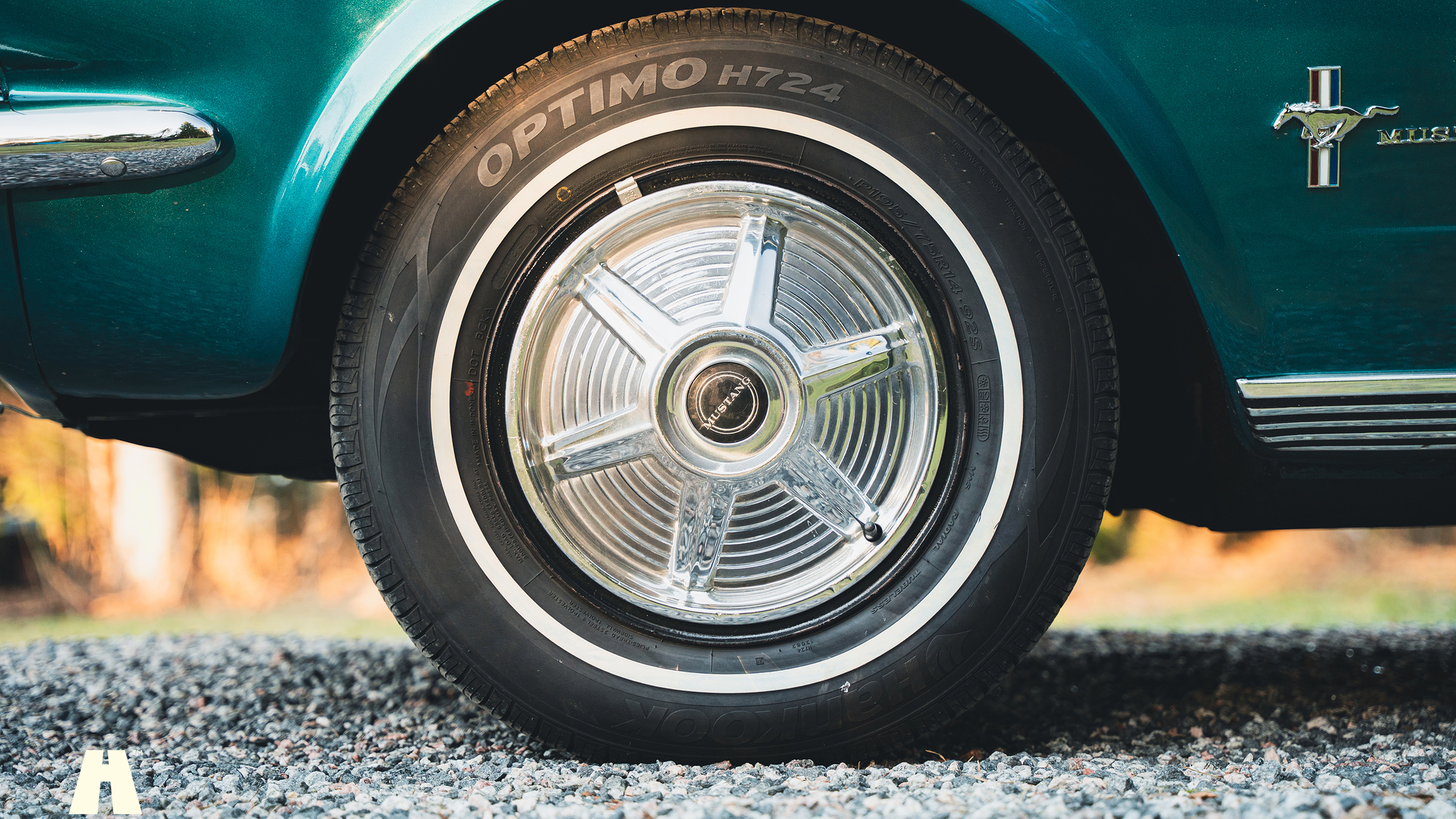 Aussenfoto 1965 Ford Mustang Cabriolet (42)