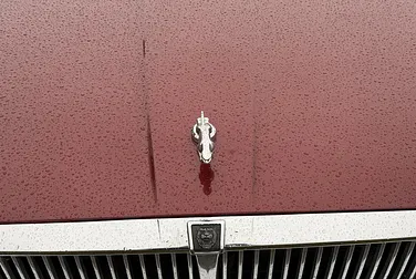 #<Image:0x00007fa5577c26e0>