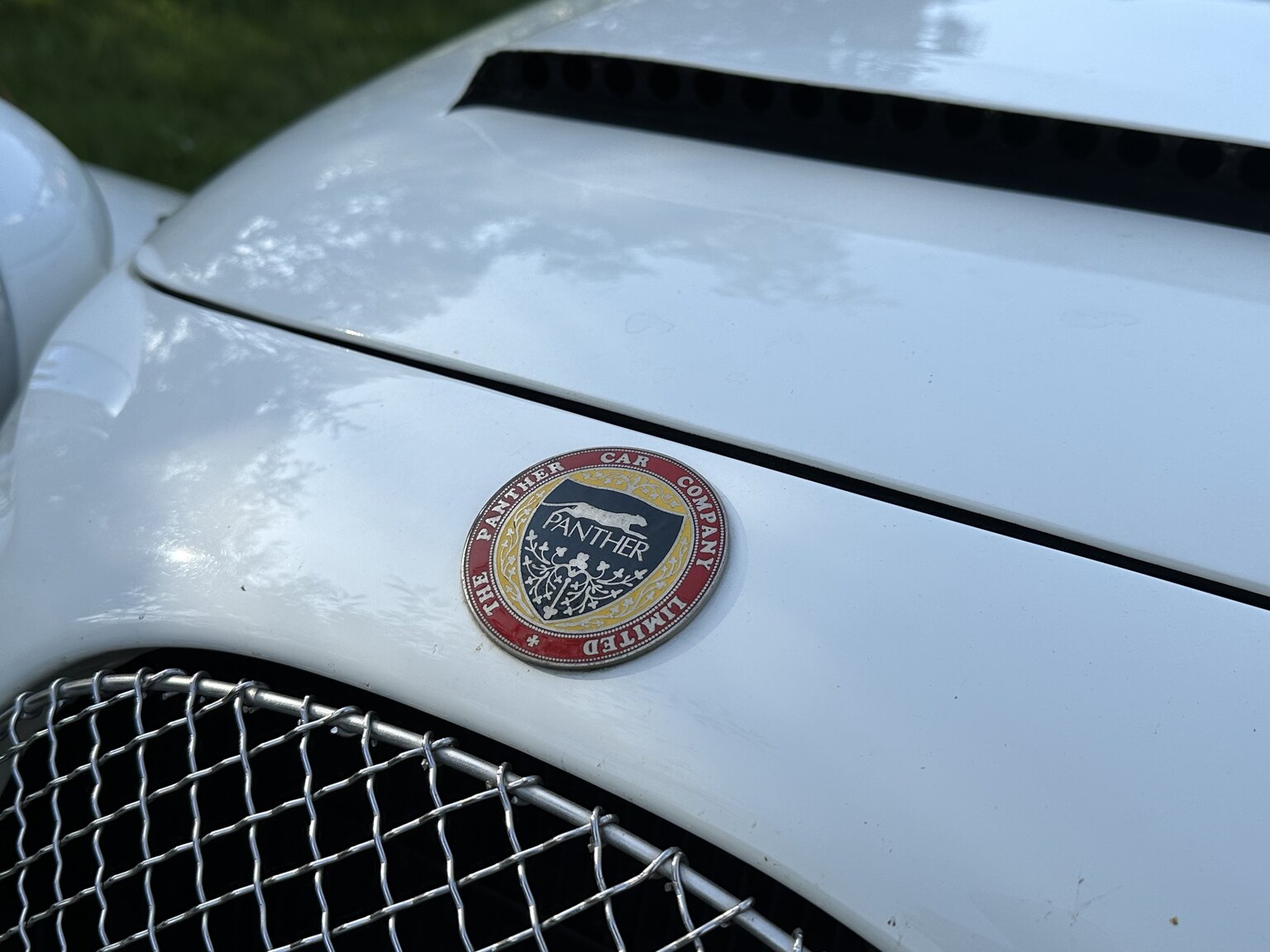 Exterior image of 1988 Panther Kallista