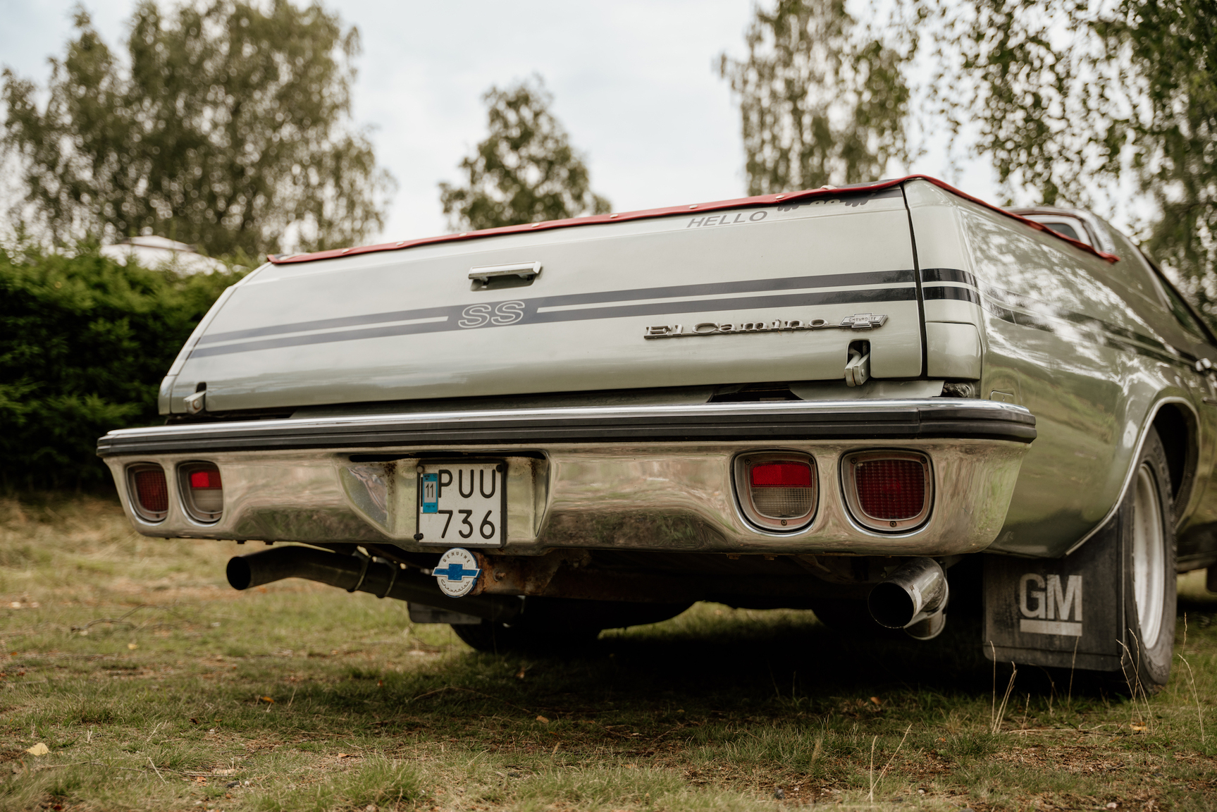 Exterior image of 1973 Chevrolet El Camino SS 454 (38)