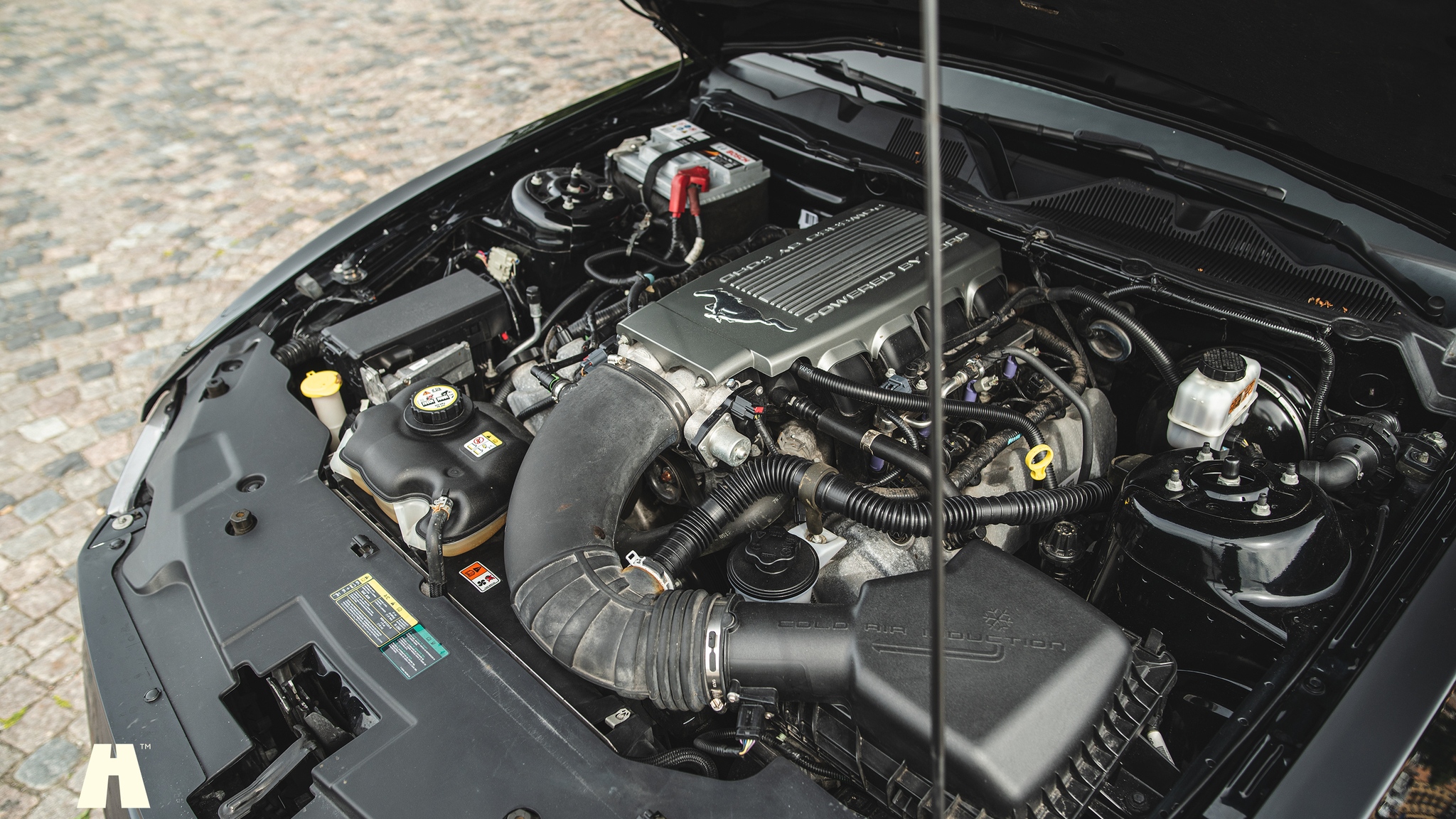Image of 2010 Ford Mustang GT  mechanics