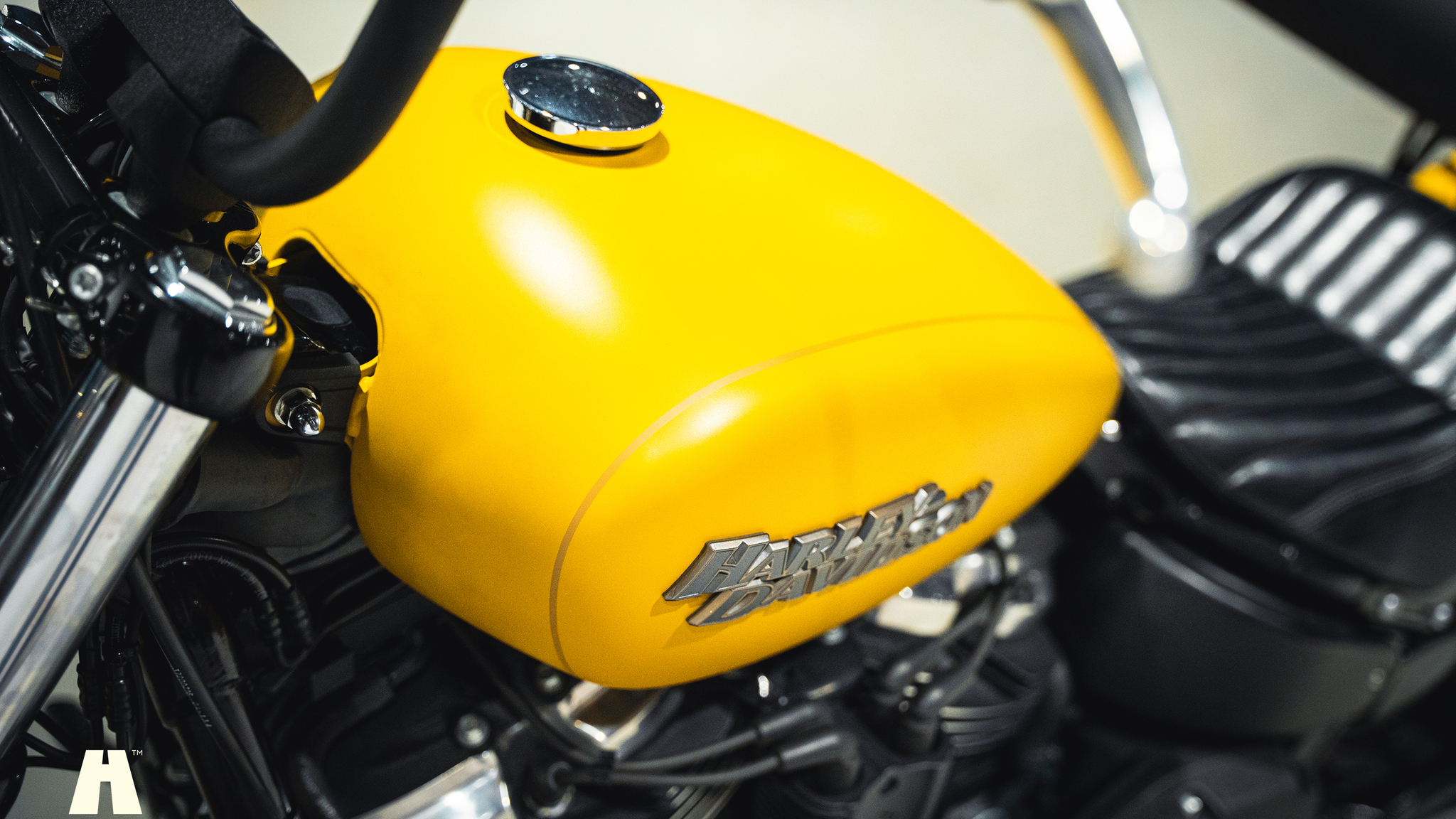 Aussenfoto 2019 Harley-Davidson Street BOB