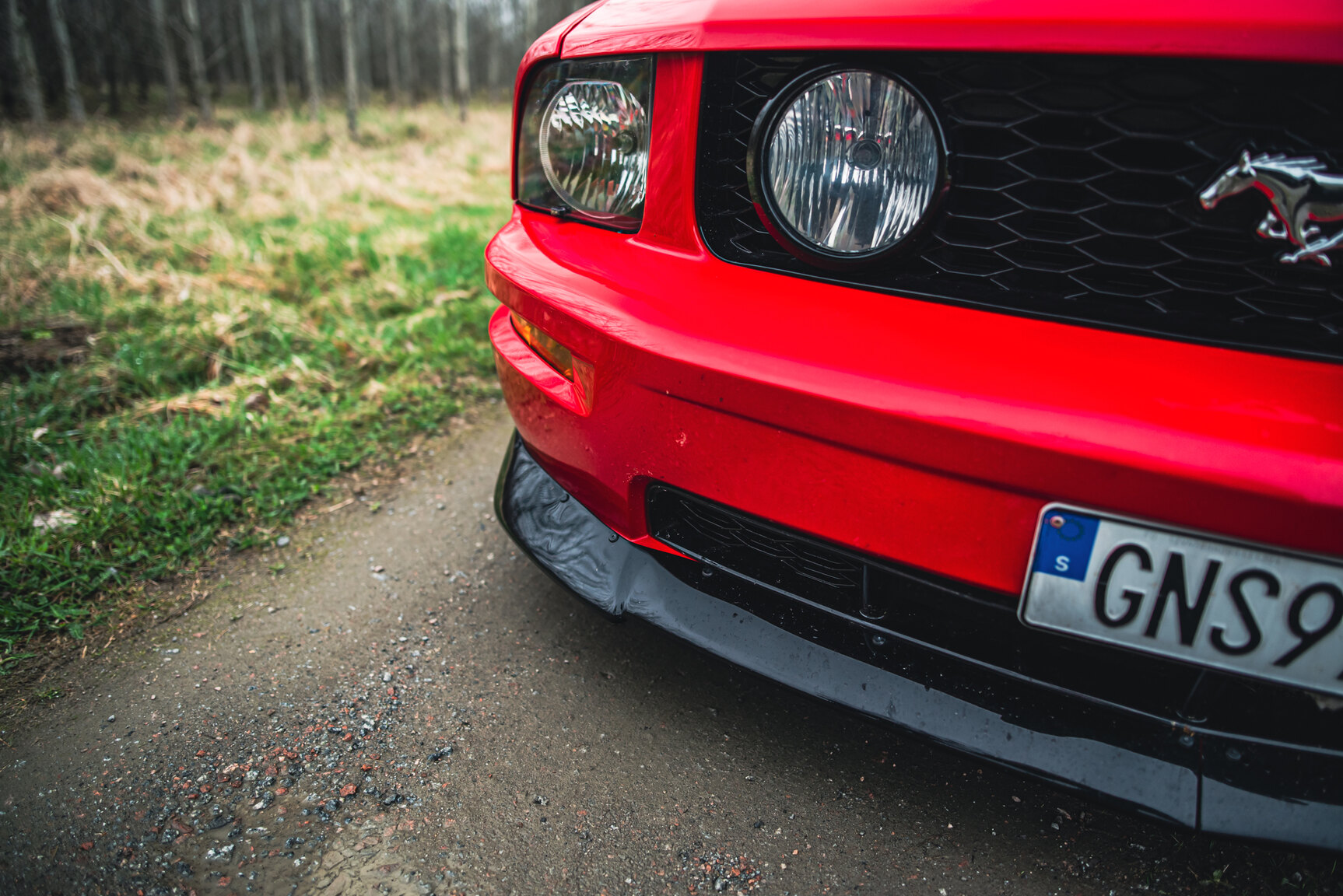 Exterior image of 2009 Ford Mustang V8 GT Convertible
