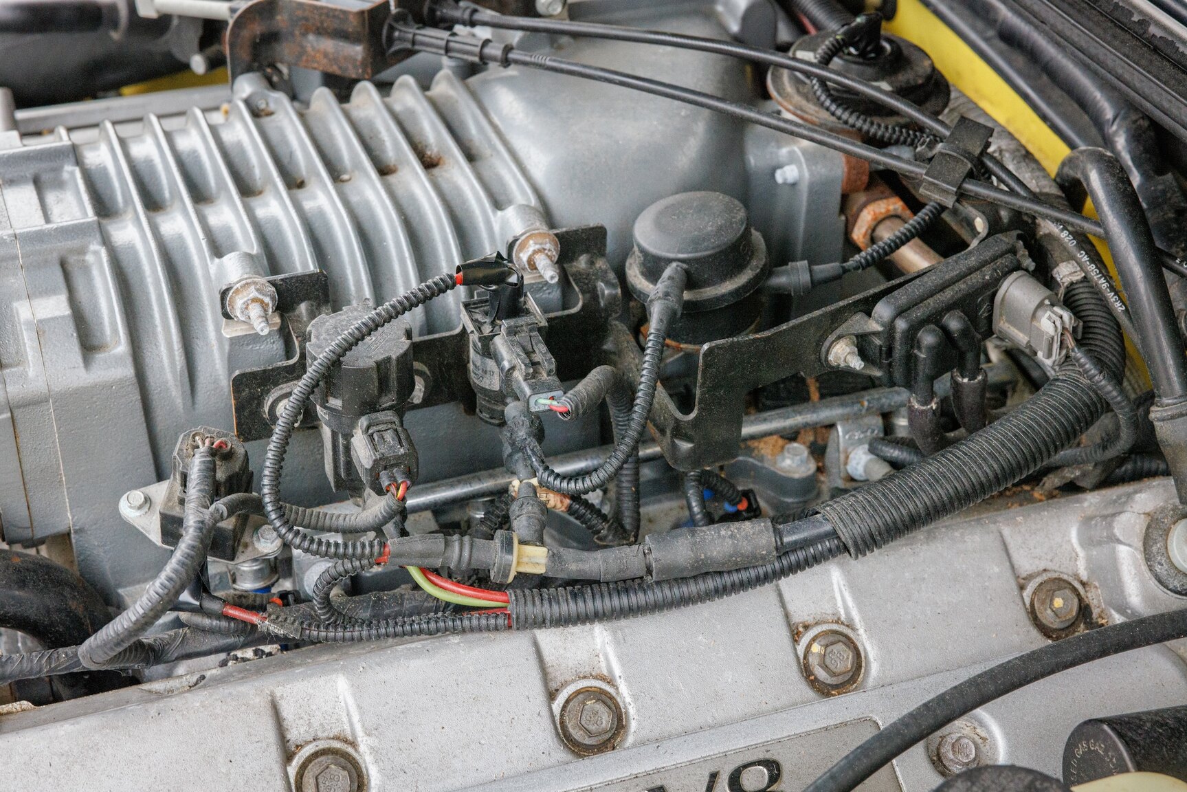 Image of 2003 Ford Mustang SVT Cobra mechanics