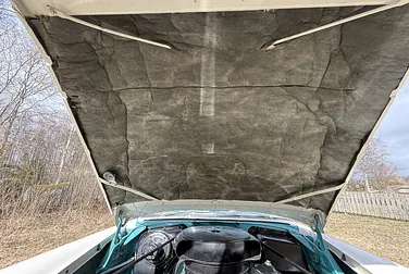 #<Image:0x00007fa86e89dc08>