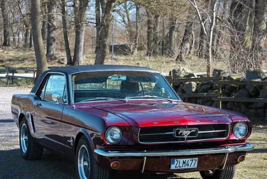 #<Image:0x00007fbc186b2818>