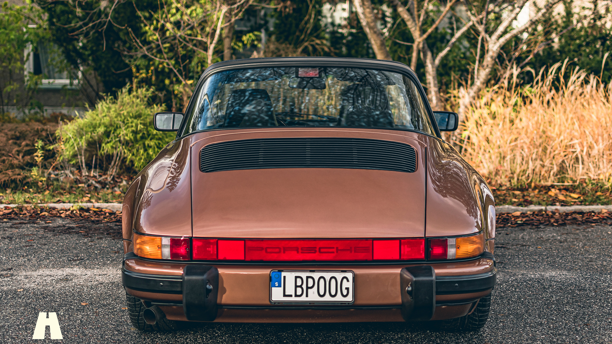 Aussenfoto 1989 Porsche 911 Carrera 3.2 Targa (3)