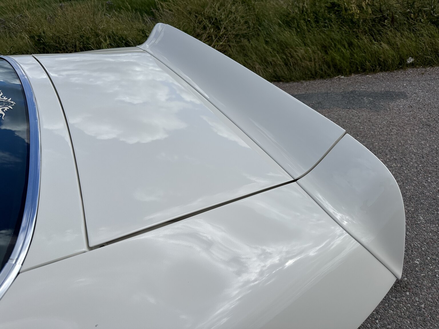 Exterior image of 1976 Pontiac Firebird Trans Am