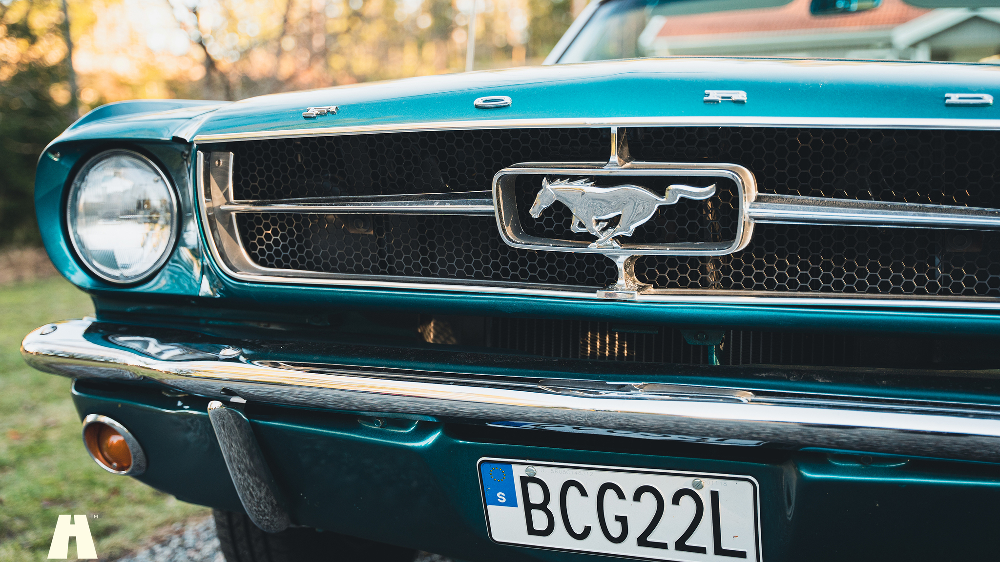 Exterior image of 1965 Ford Mustang Cabriolet (23)