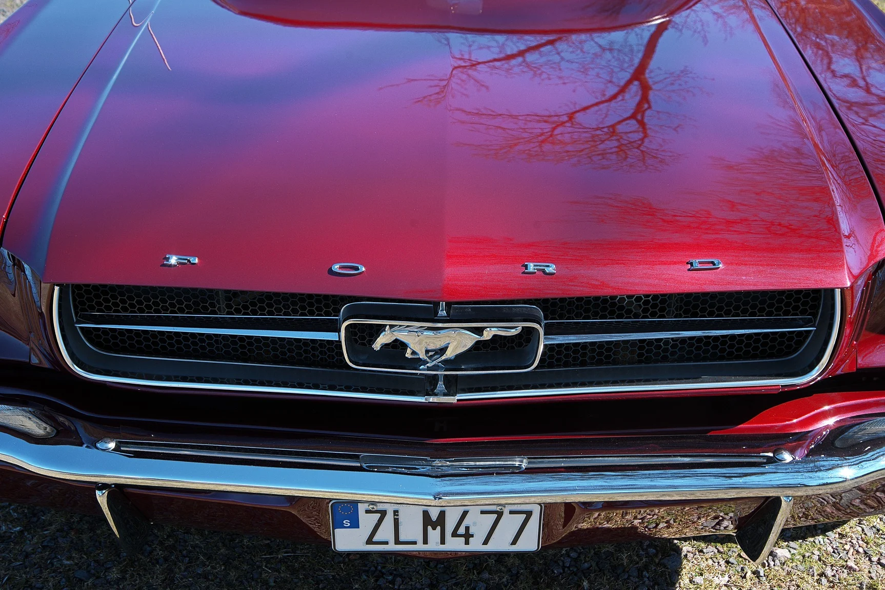 Aussenfoto 1965 Ford Mustang HT 289cui (62)