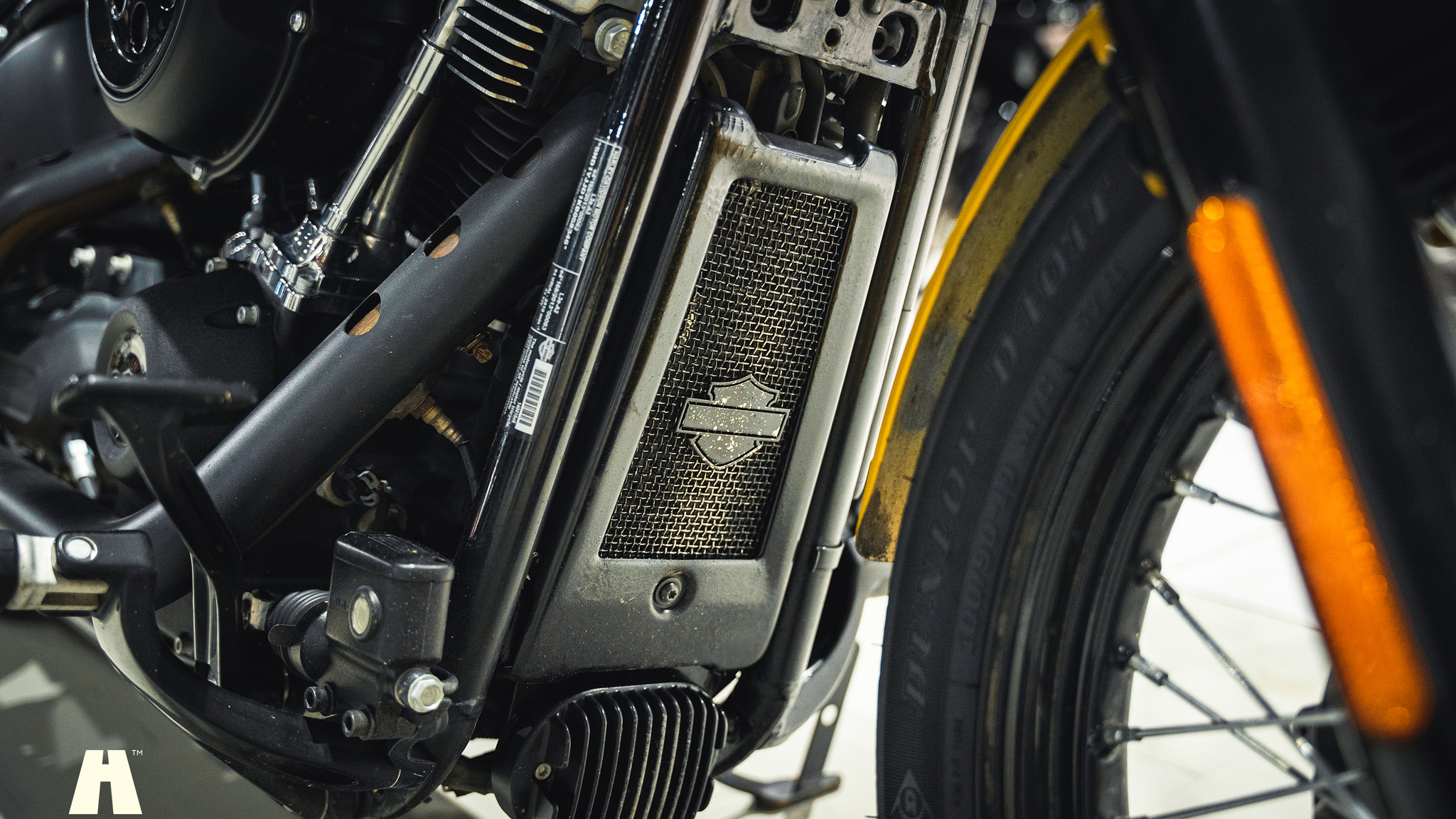 Image of 2019 Harley-Davidson Street BOB mechanics