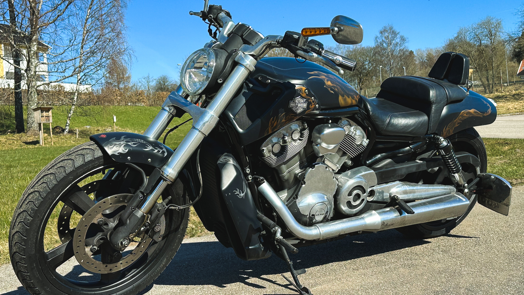 Exterior image of 2010 Harley Davidson Muscle Rod