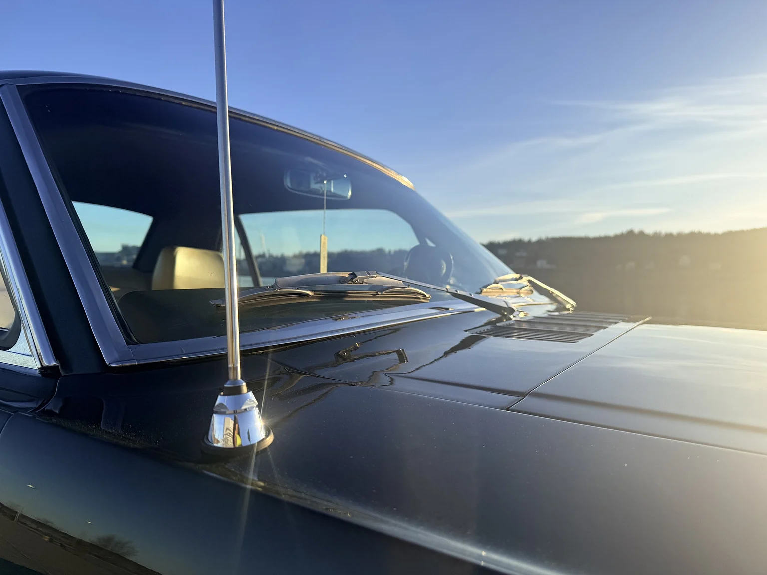 Aussenfoto 1966 Ford Mustang HT - Protouring / Supercharged (43)