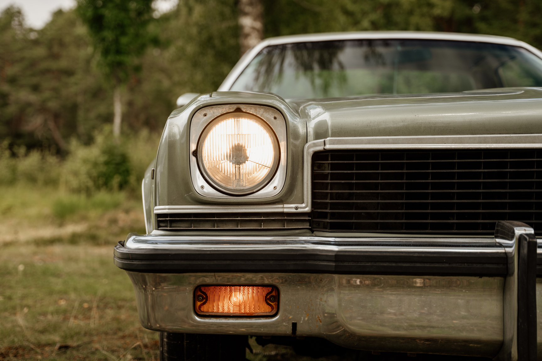 Exterior image of 1973 Chevrolet El Camino SS 454 (14)
