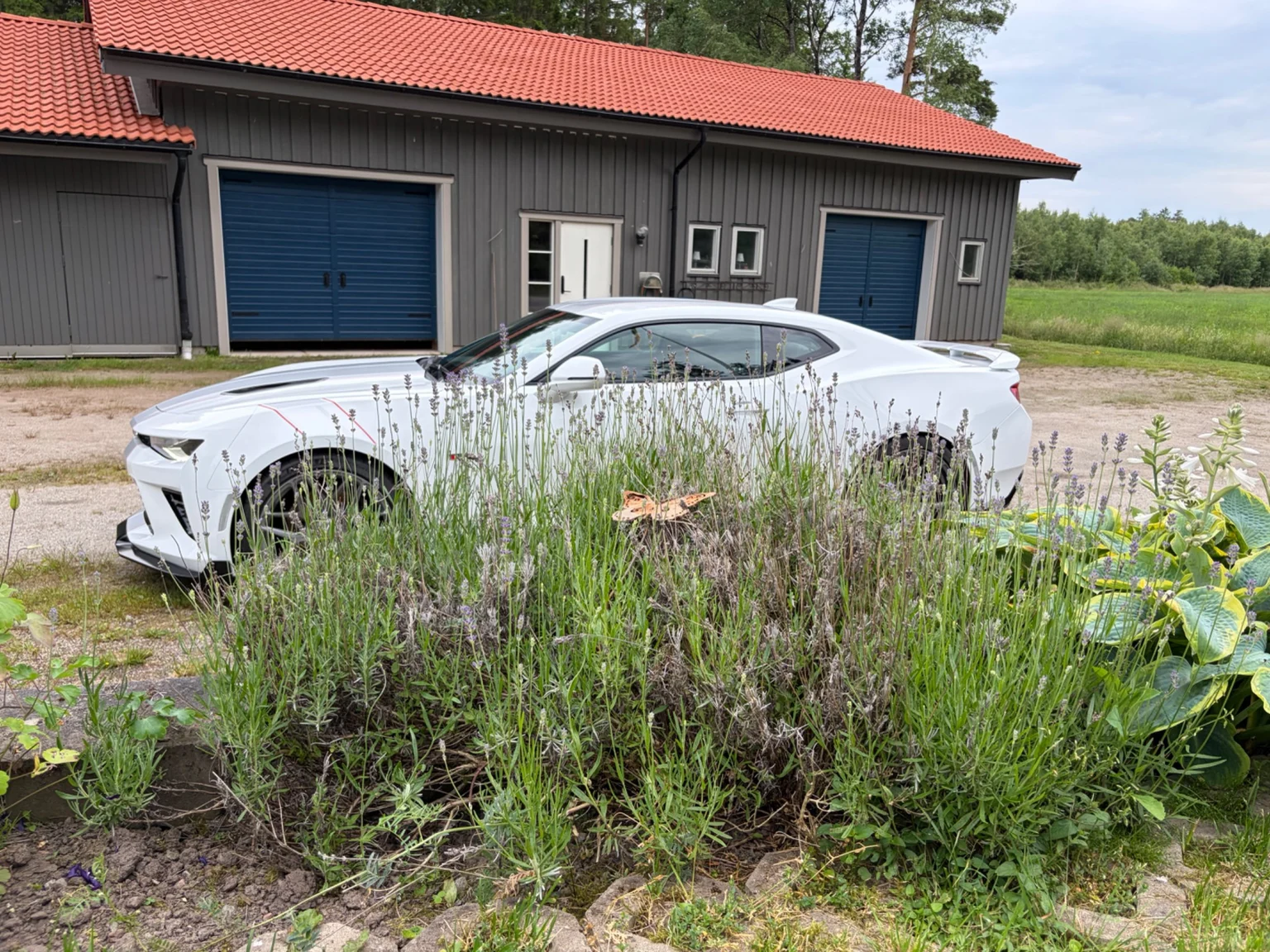Exterior image of 2017 Chevrolet Camaro SS (3)