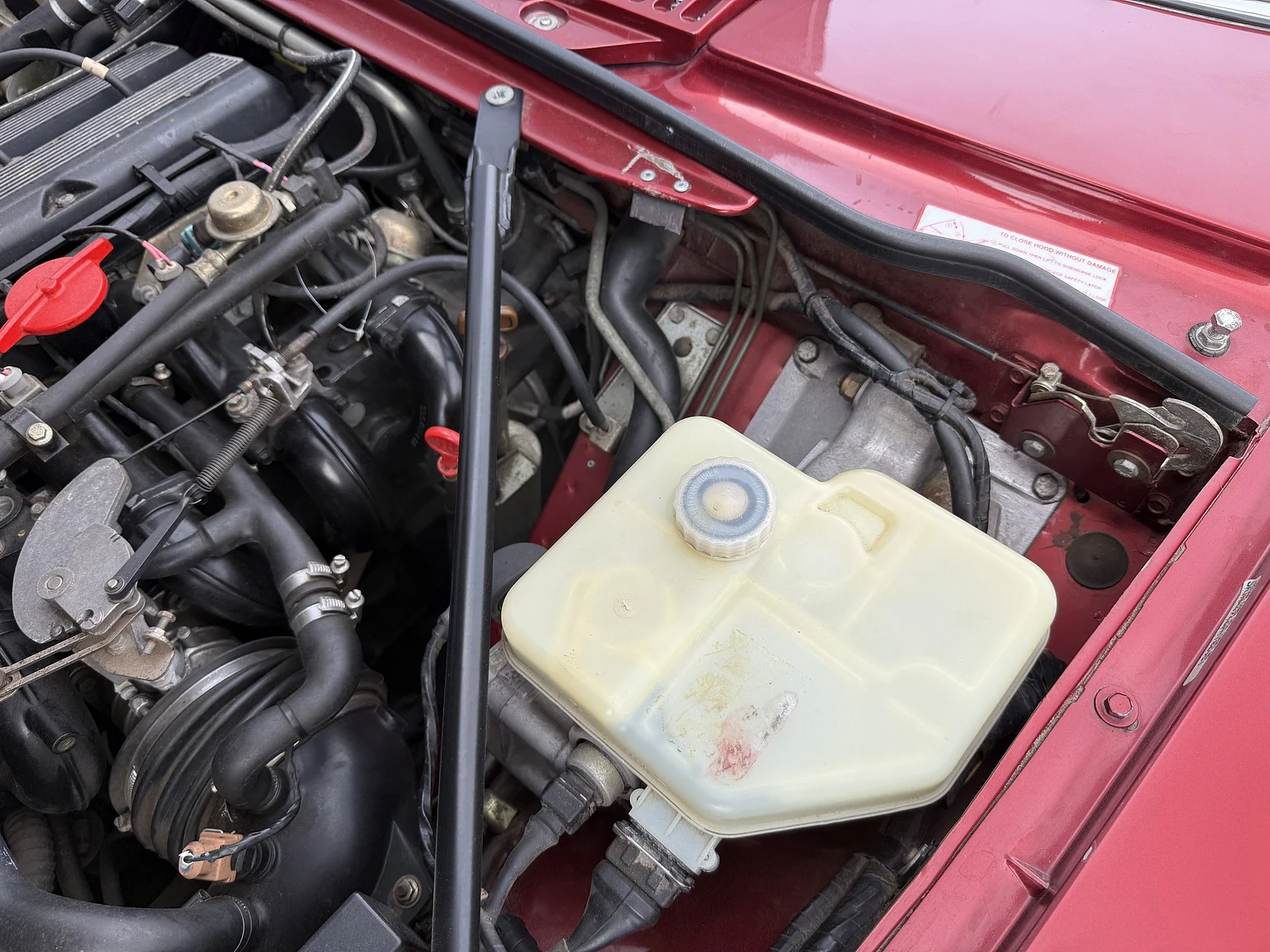 Exterior image of 1993 Jaguar XjS Cabriolet (4)