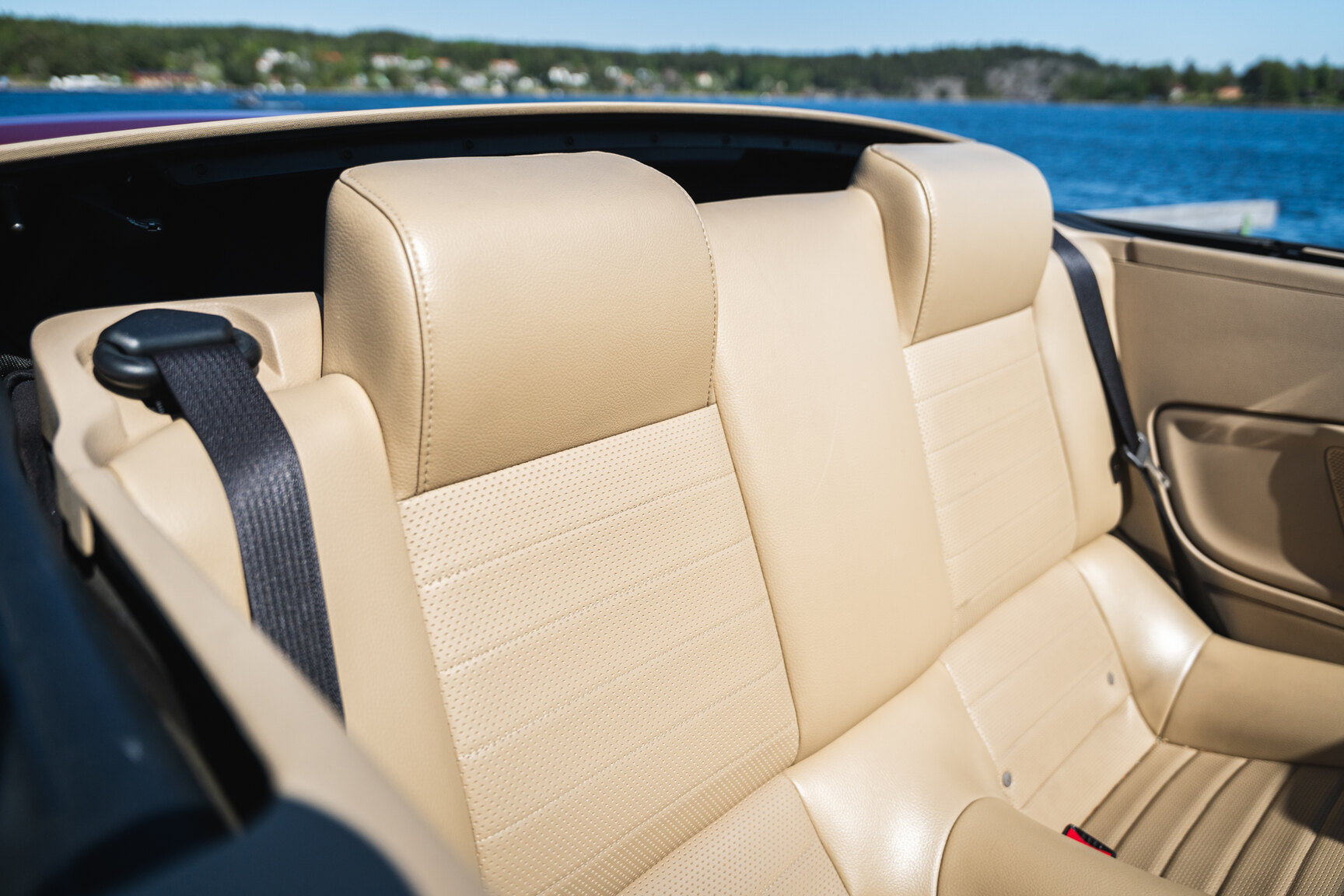 Interior image of 2005 Ford Mustang GT Cabriolet