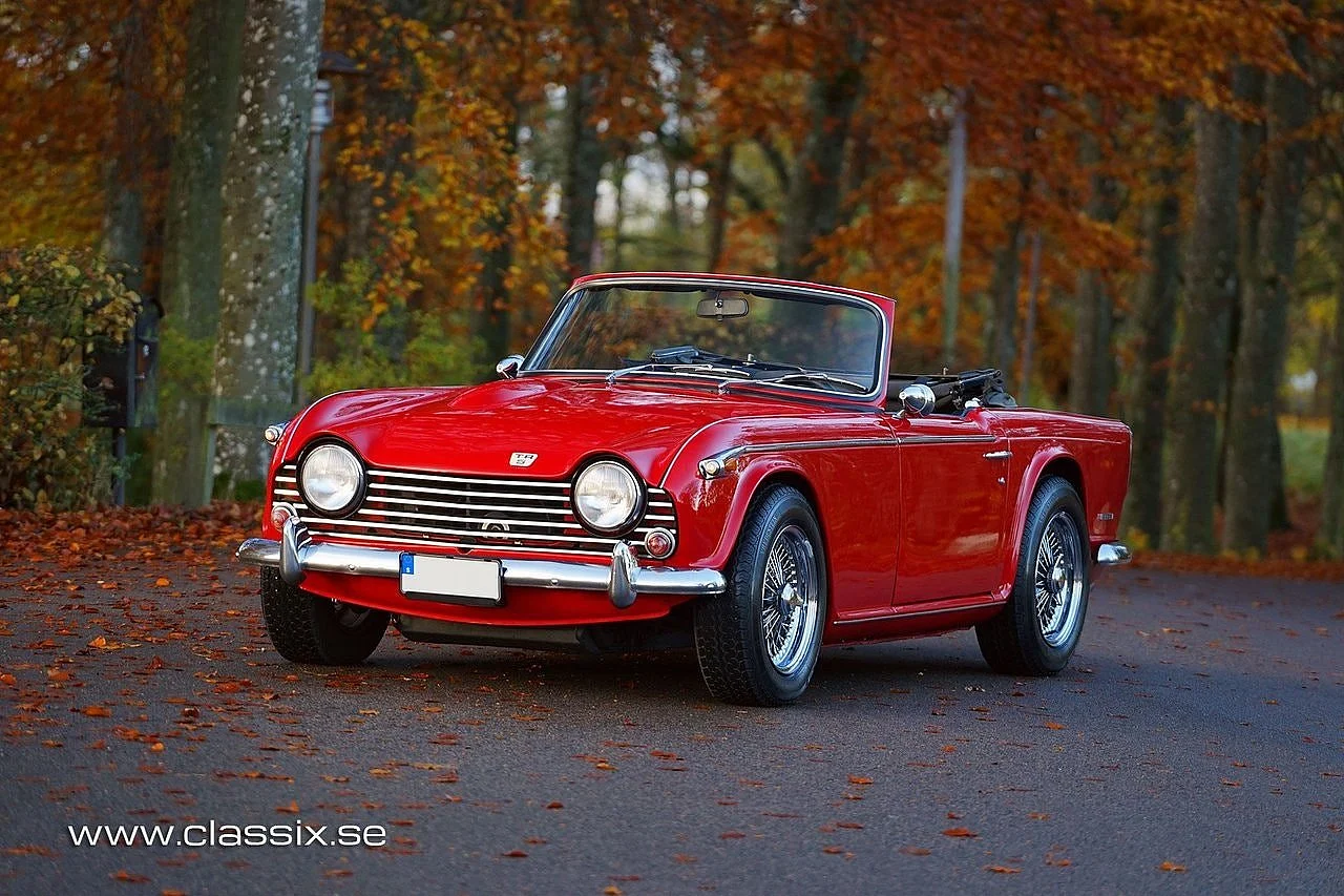 Bild von 1968 Triumph TR5 (5)