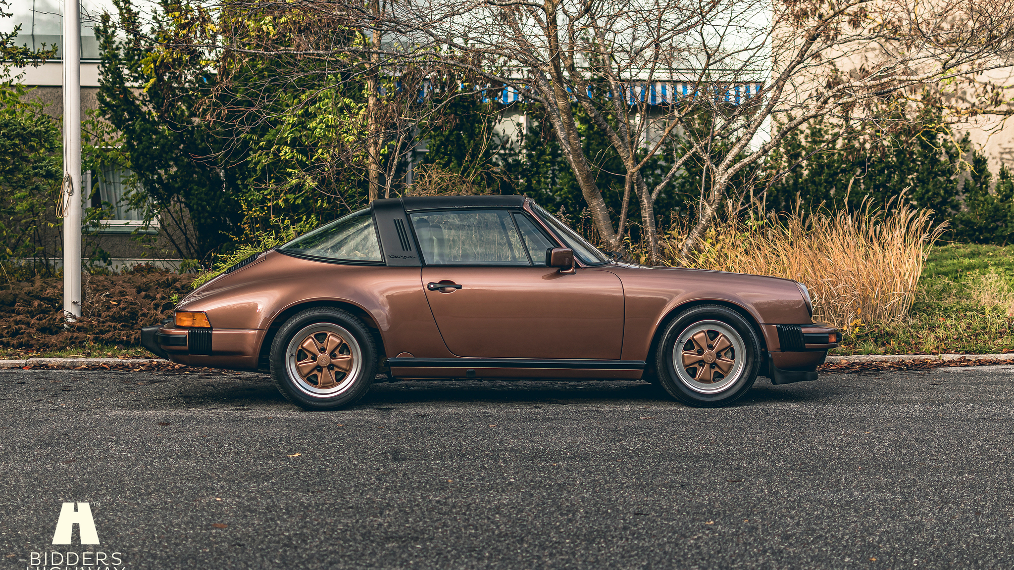 Aussenfoto 1989 Porsche 911 Carrera 3.2 Targa (7)