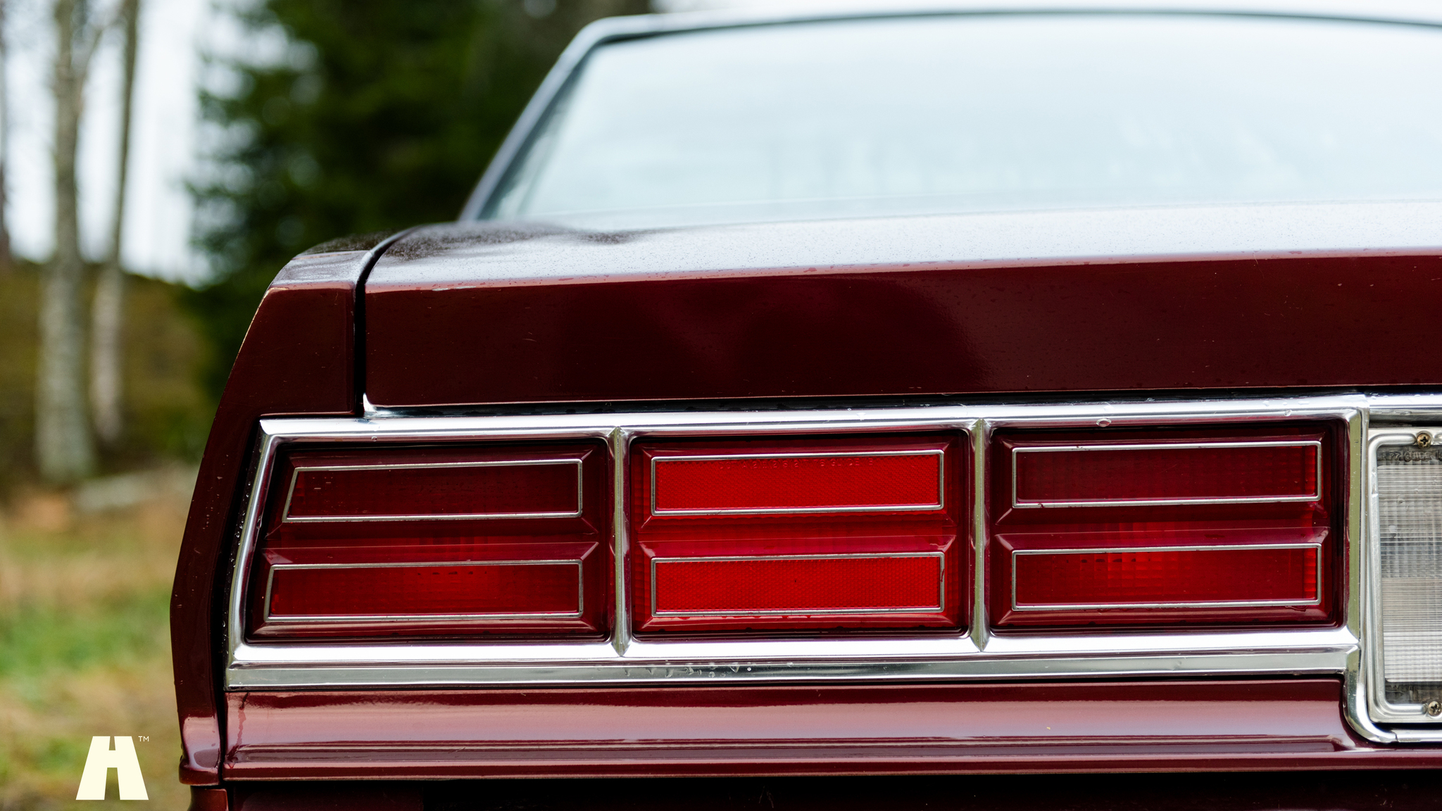 Exteriörbild på 1977 Chevrolet Caprice Classic