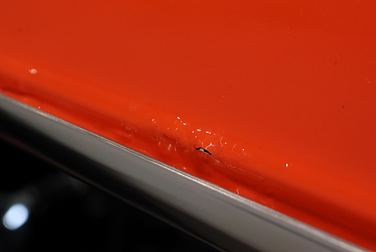 #<Image:0x00007f8dfed45790>