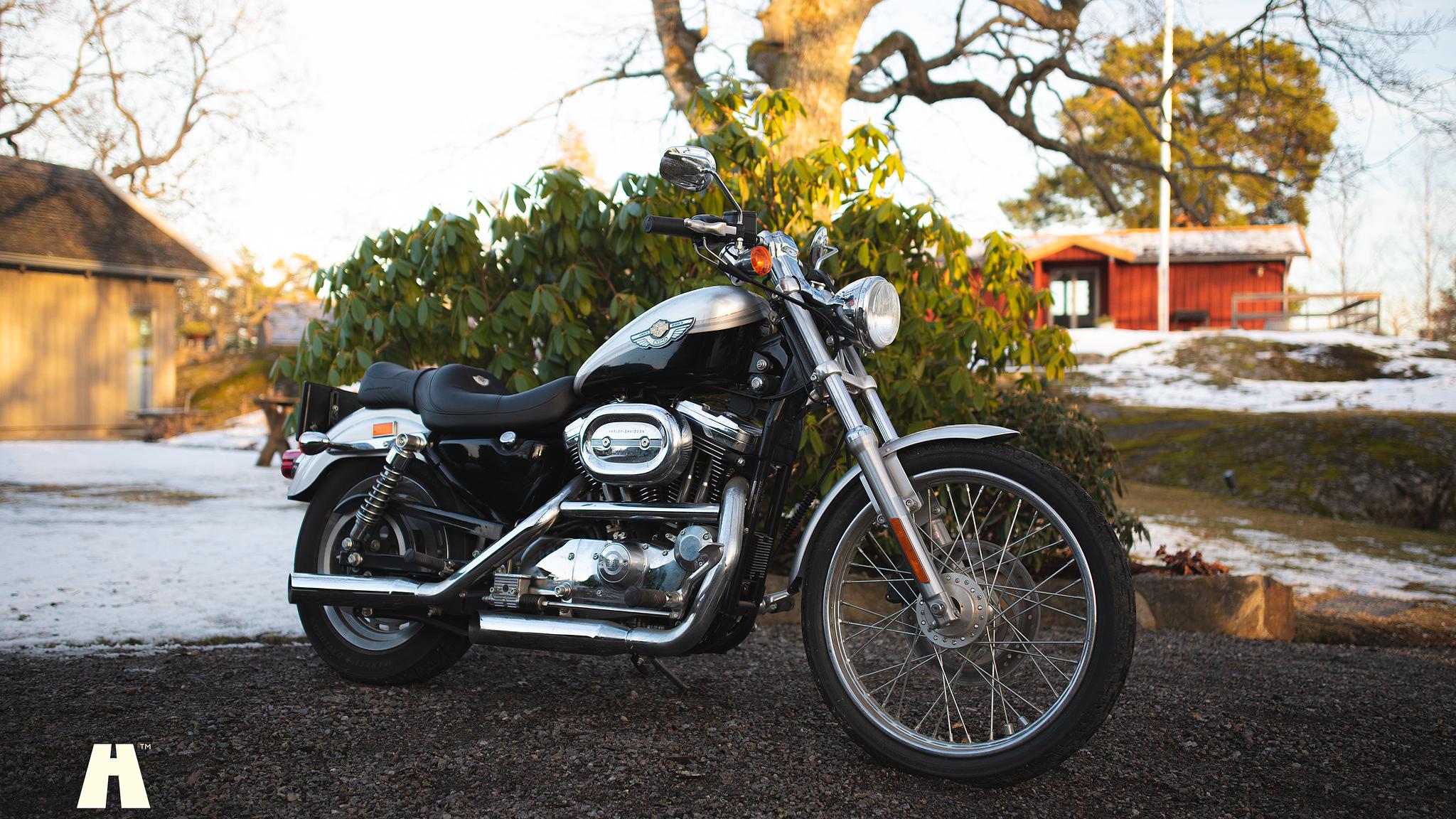 Exterior image of 2003 Harley Davidson Sportster 1200C 100th Anniversary Edition