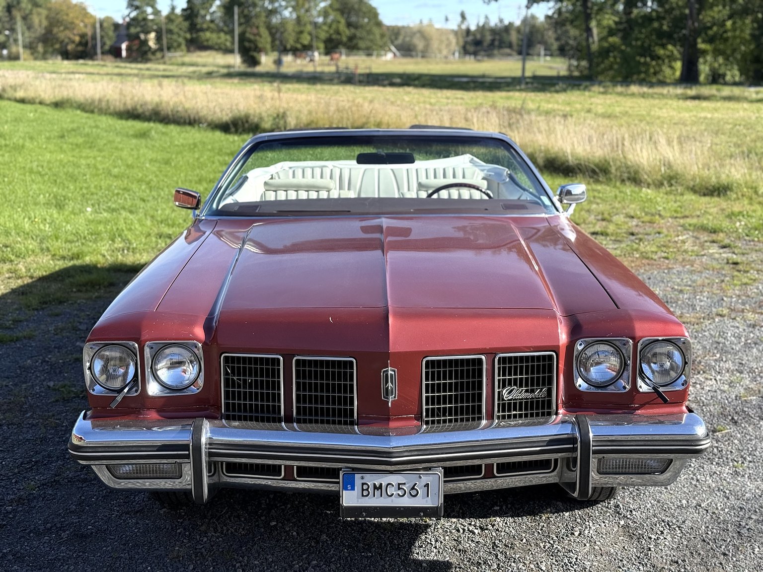 Exteriörbild på 1975 Oldsmobile Delta 88
