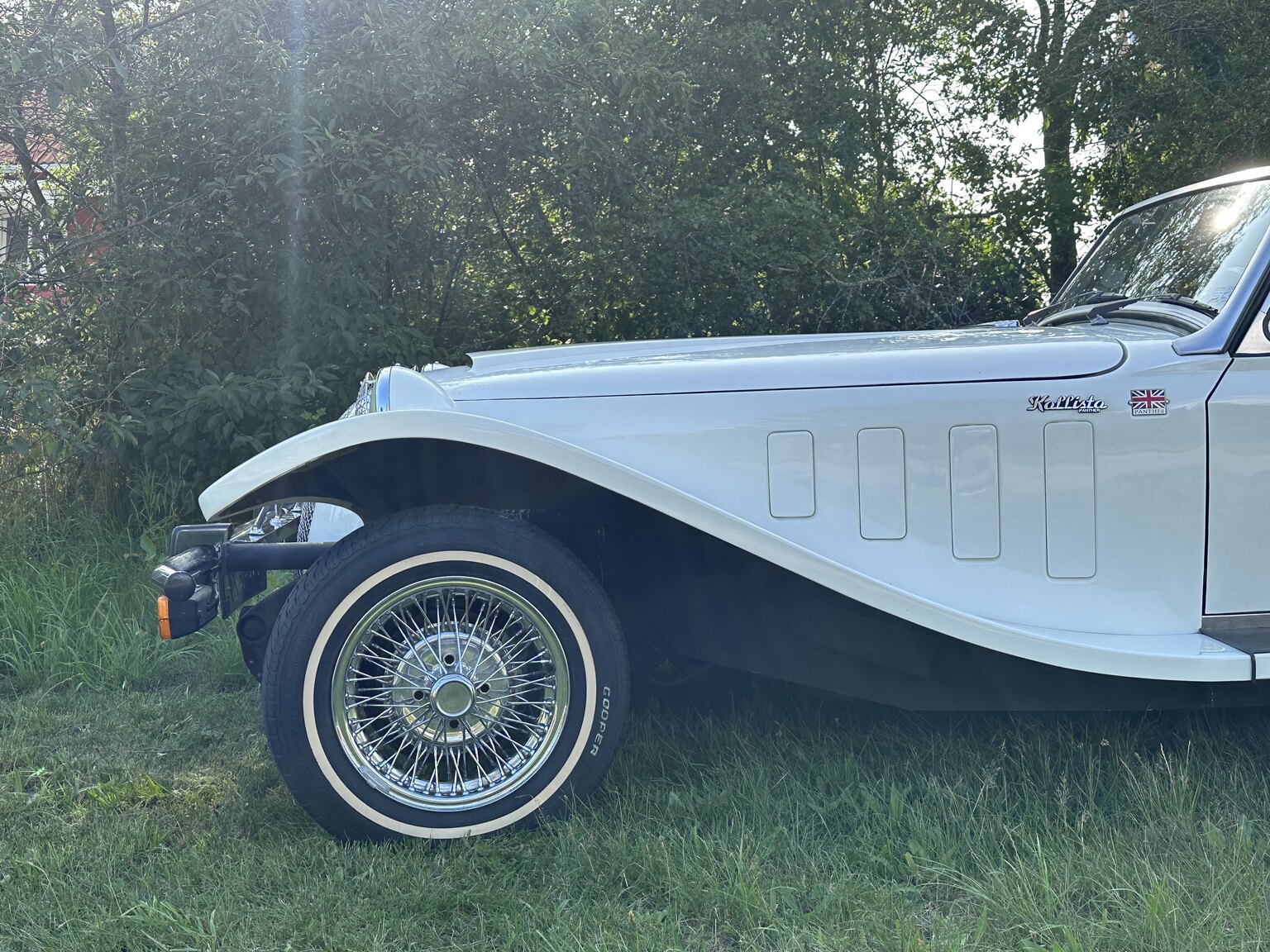 Exterior image of 1988 Panther Kallista