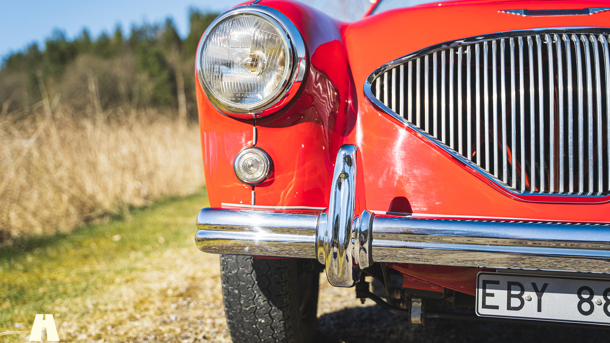Aussenfoto 1954 Austin Healey 100 BN1 (12)