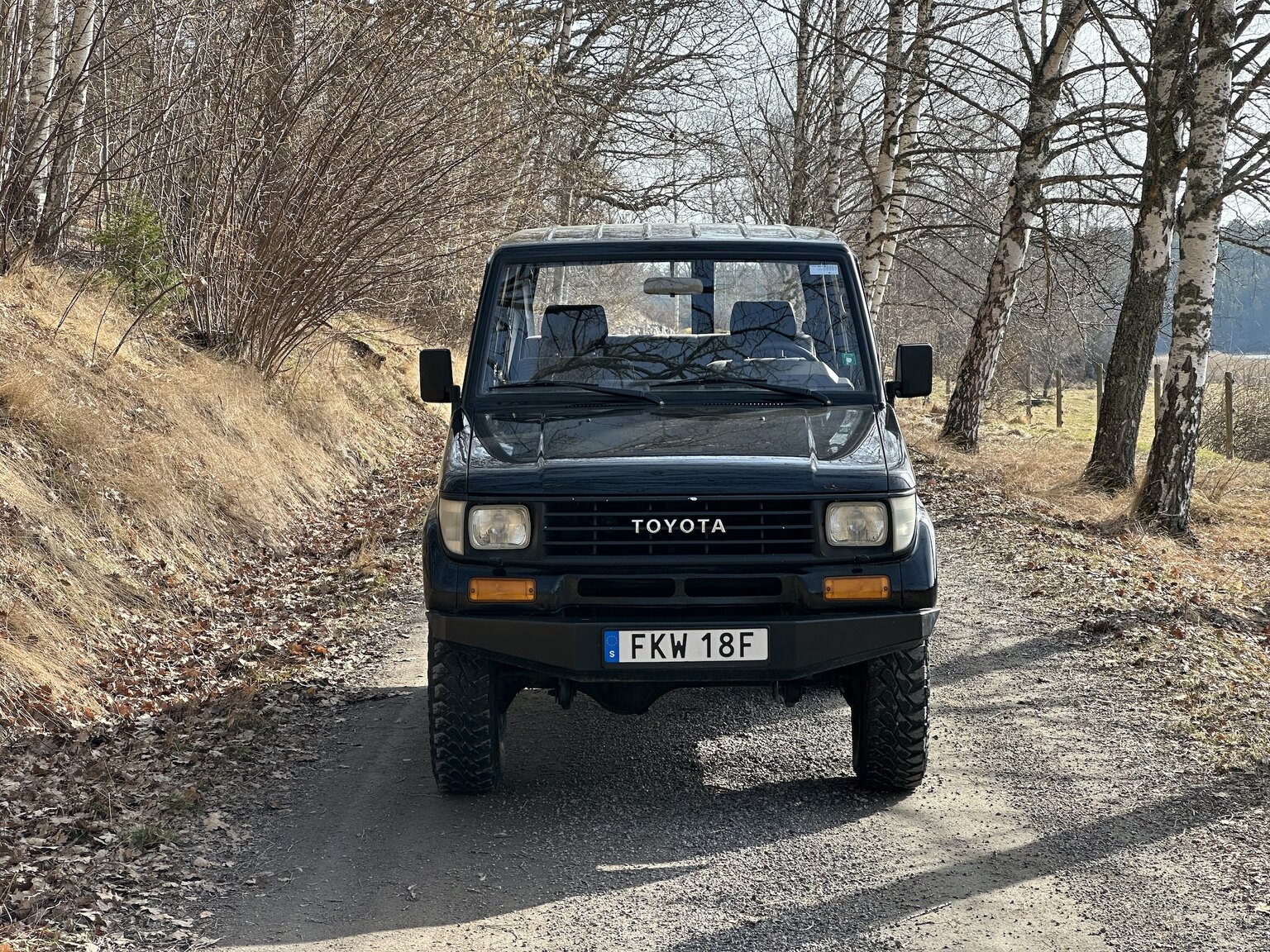 Exterior image of 1993 Toyota Land Cruiser Serie 70
