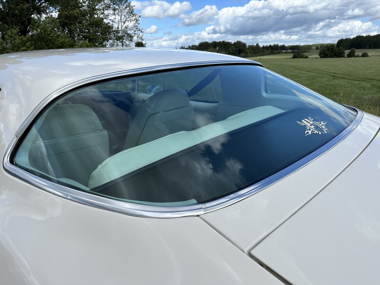 Exterior image of 1976 Pontiac Firebird Trans Am