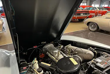 #<Image:0x00007f115d663490>