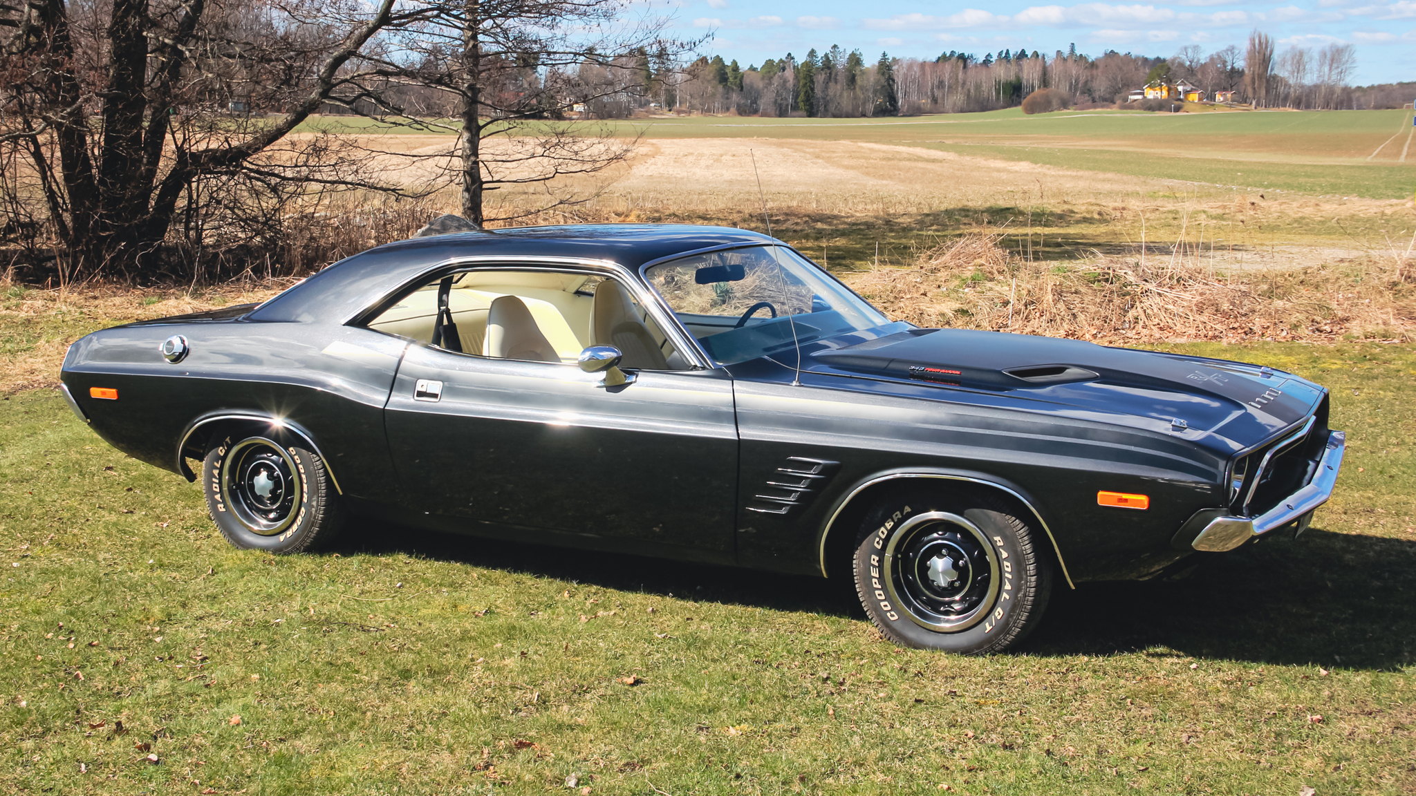 Exterior image of 1974 Dodge Challenger 340