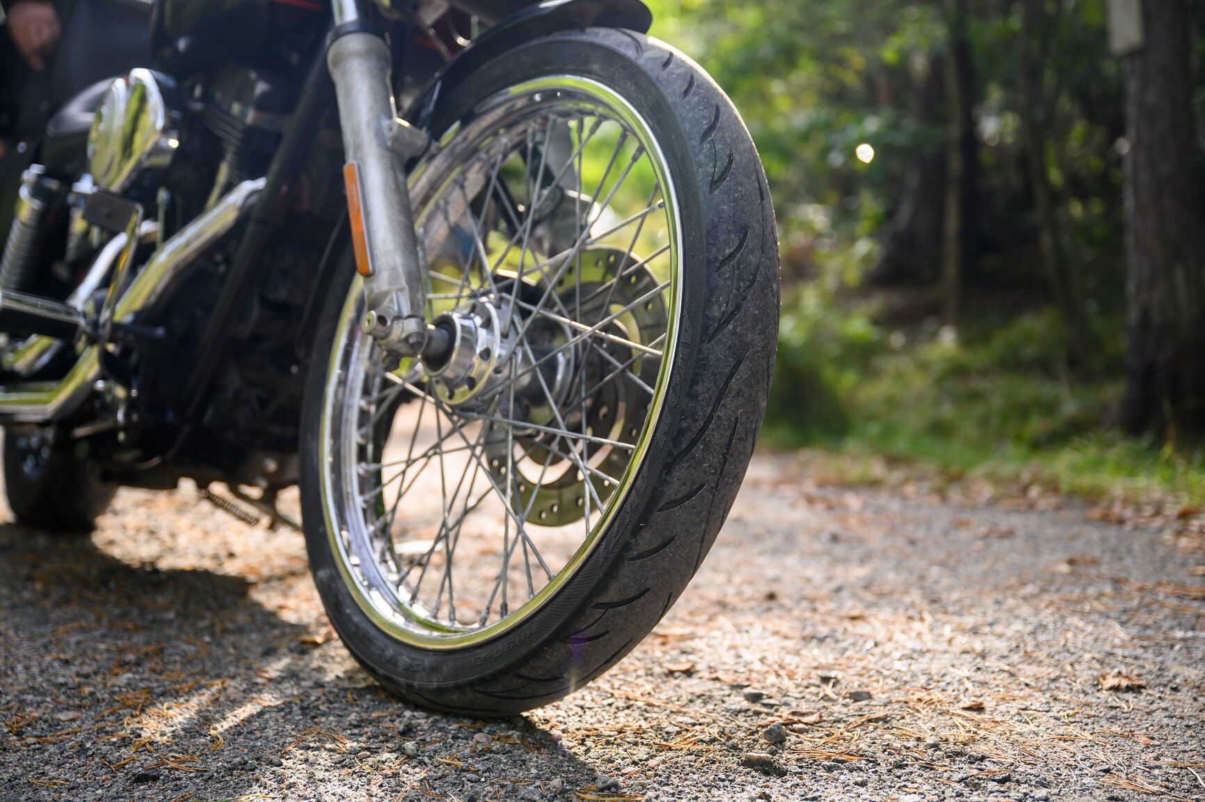 Exteriörbild på 2001 Harley-Davidson FXDWG 