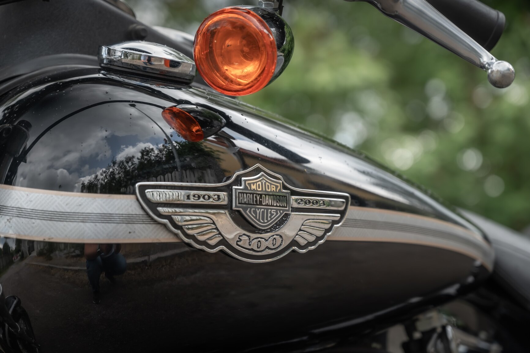 Exteriörbild på 2003 Harley-Davidson FXDL 100th Anniversary